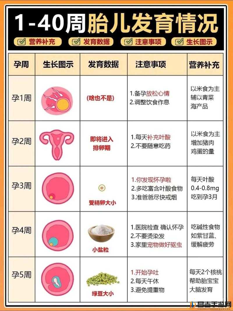 黑土怀孕计划免费观看：揭示生命奇迹的震撼之旅