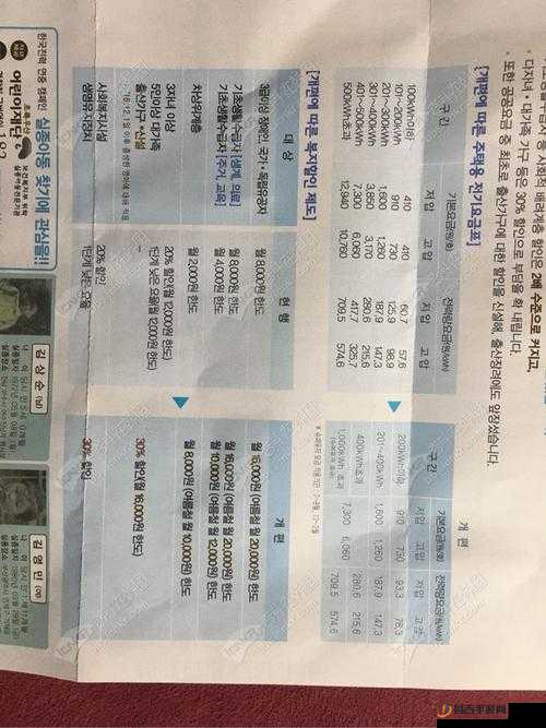 韩国理论电费：深入剖析其计算方式与影响因素及未来趋势