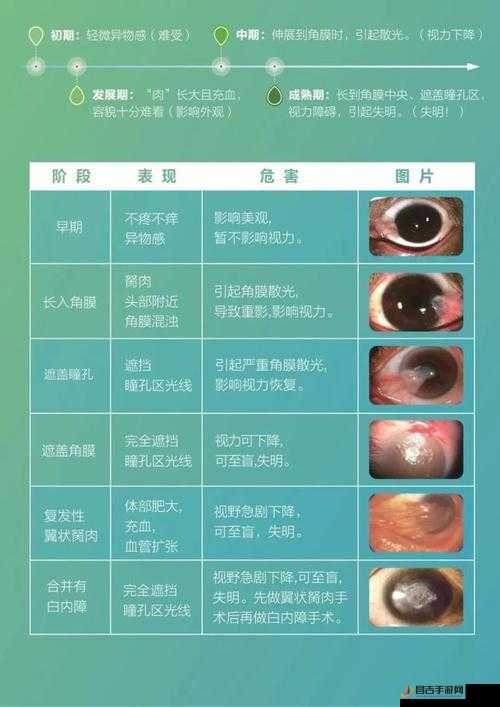 获得超级胬肉系是怎样一种神奇的存在以及其影响和意义