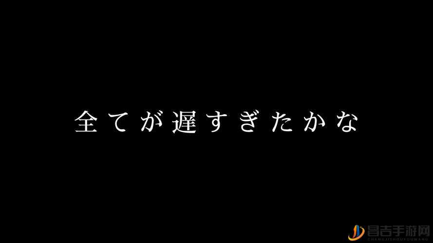 衷心感谢您的赞美：お褒めありがとうございます