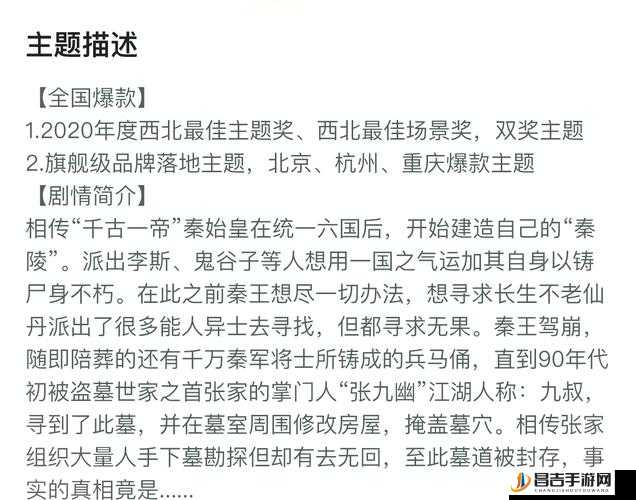 盗墓长生印游戏攻略，高效镜子升级策略与推荐指南